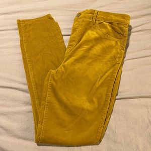 Gold High Rise Pants